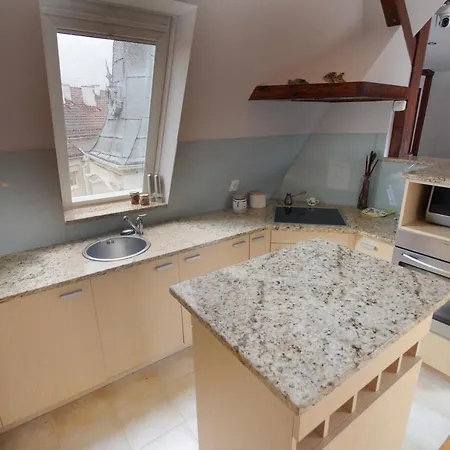 Spacious Victus With Balcony By Renters Appartement *