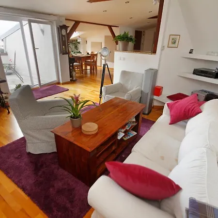 Spacious Victus With Balcony By Renters Appartement